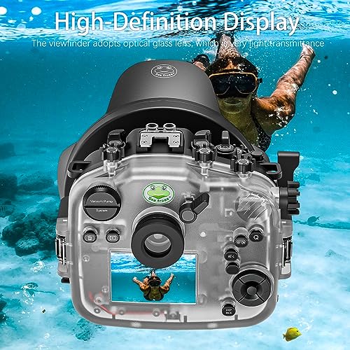 Ficha técnica Sea frogs Carcasa de cámara subacuática compatible con Fujifilm X-T5 para XC 16-50 mm 1:3.5-5.6 con lente gran angular IPX8 40 m 130 pies de profundidad máxima de buceo impermeable para buceo surf - Fernando Cortés Ficha técnica Sea frogs Carcasa de cámara subacuática compatible con Fujifilm X-T5 para XC 16-50 mm 1:3.5-5.6 con lente gran angular IPX8 40 m 130 pies de profundidad máxima de buceo impermeable para buceo surf - Fernando Cortés