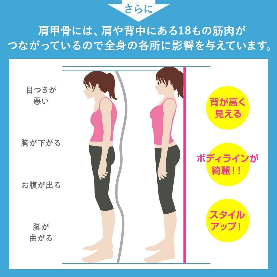 半額 姿勢サポーター 姿勢ベルト 男性用 女性用 子供用 通気 脱着簡単 L Www Tonna Com