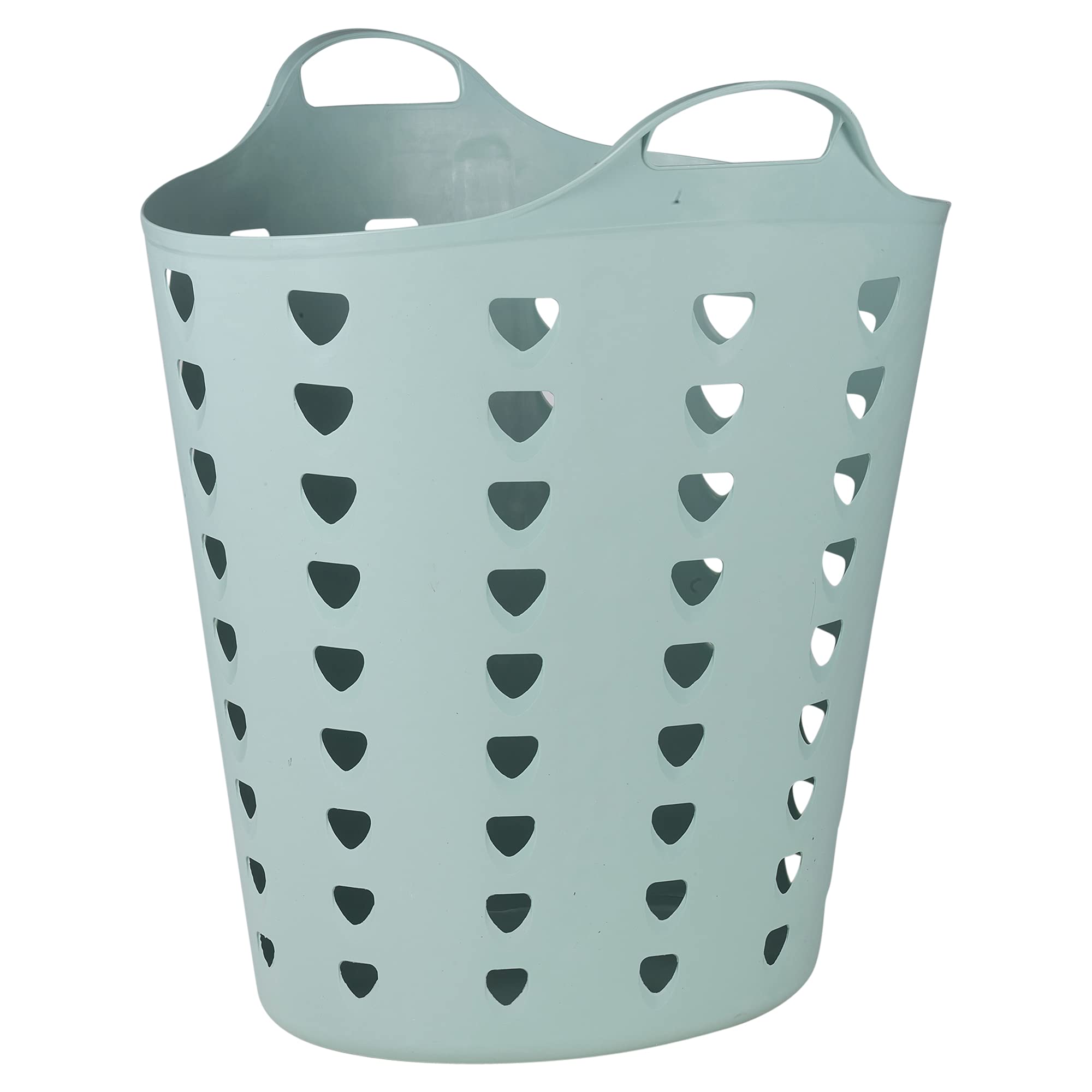 Contenitore Biancheria 25L con Coperchio in plastica Trasparente