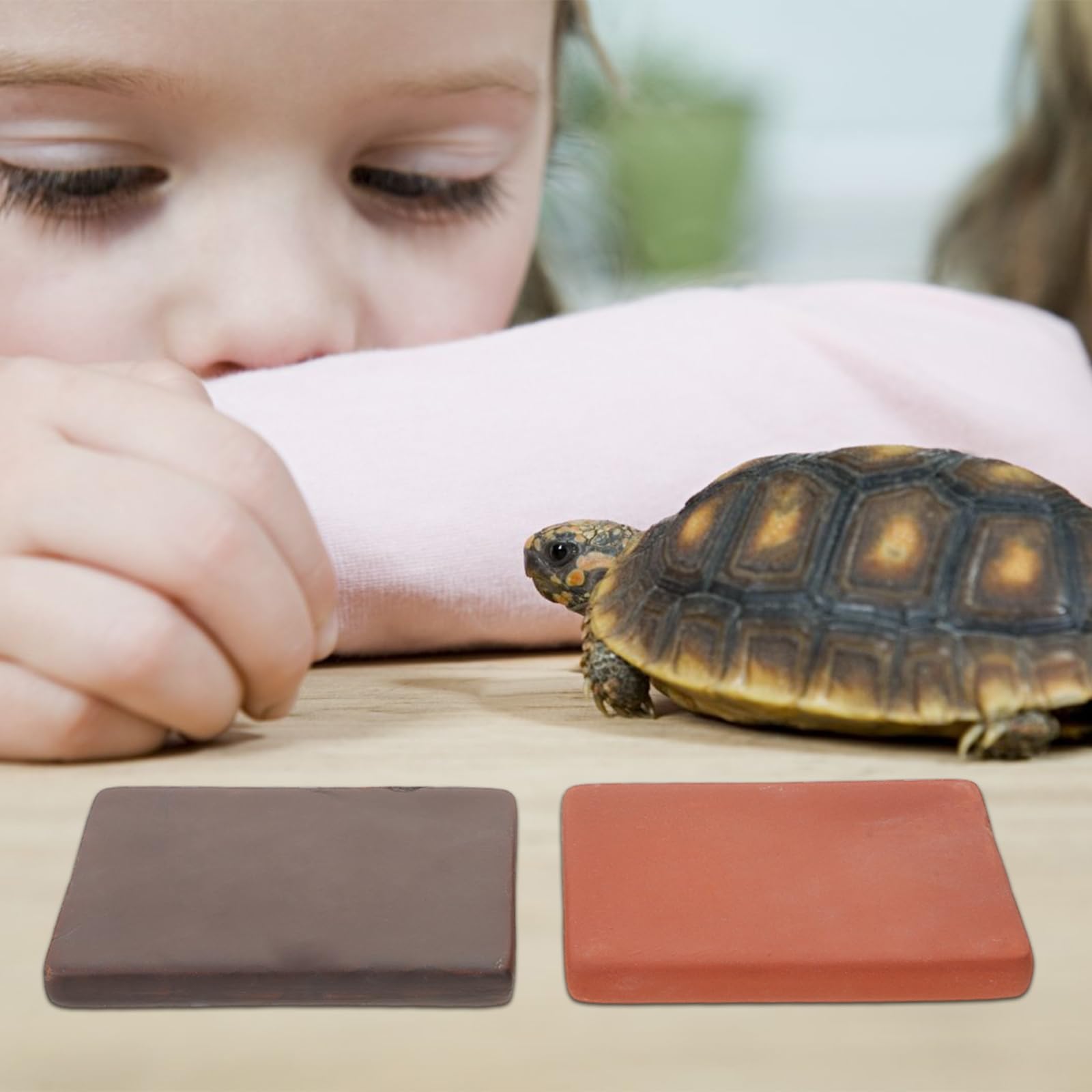 BESTonZON 6-teiliges Keramikziegelstein für Reptilienbecken: Landschaftsbausteine für Schildkrötenhabitate – 3,14 x 2,36 Zoll große Sonnenplattform aus Ton für Terrarien-Landschaftszubehör