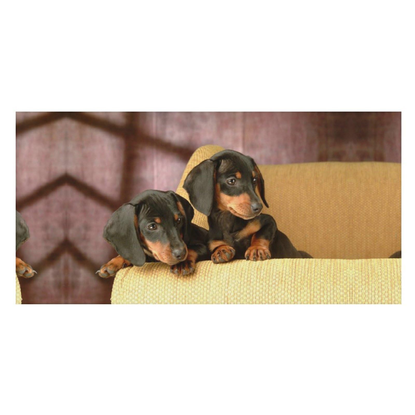 LWORZIIB Beach Towel, Cute Dachshund Bath Towel, Pool Towel Great for Gym Swimming 80 X 160cm