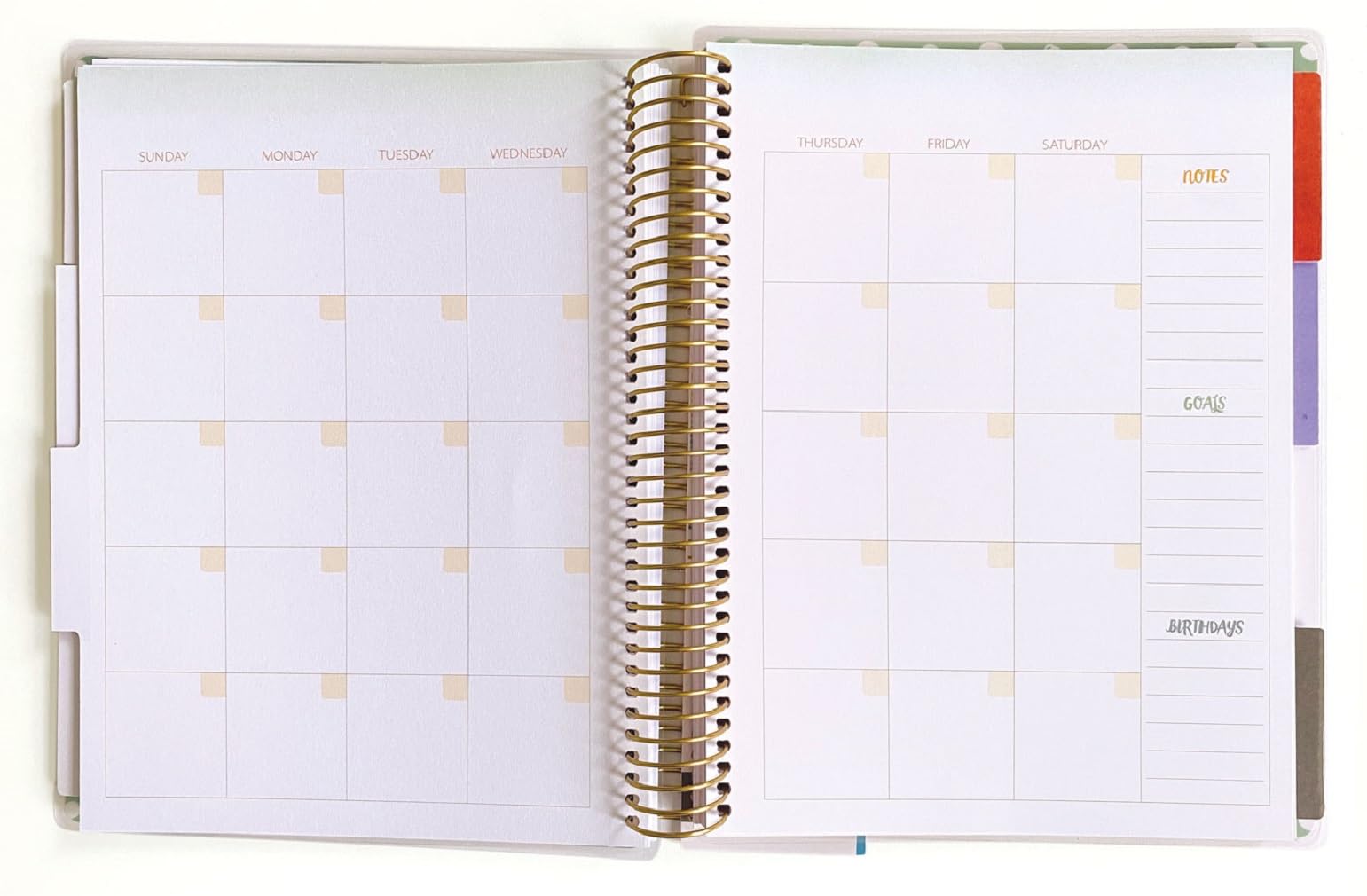 Paper House Productions Agenda 12 mesi non datata 24,1 cm con adesivi mese ed evento bandiera – Ispirazione arcobaleno