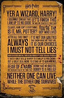 GB eye LTD FP4235 , Harry Potter, Quotes, Maxi Poster, 61 x 91.5cm, Wood, Multi-Colour, 65 x 3.5 x 3.5 cm