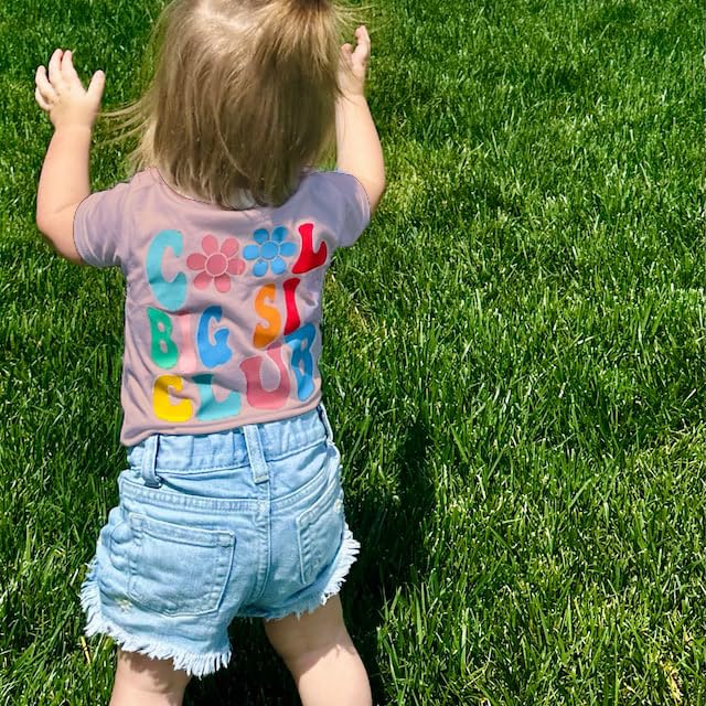 Image of LOTUCY Big Sister Shirt for Toddler Girls Cool Big Sis Club Tshirt Promoted to Big Sister Announcement Outfits