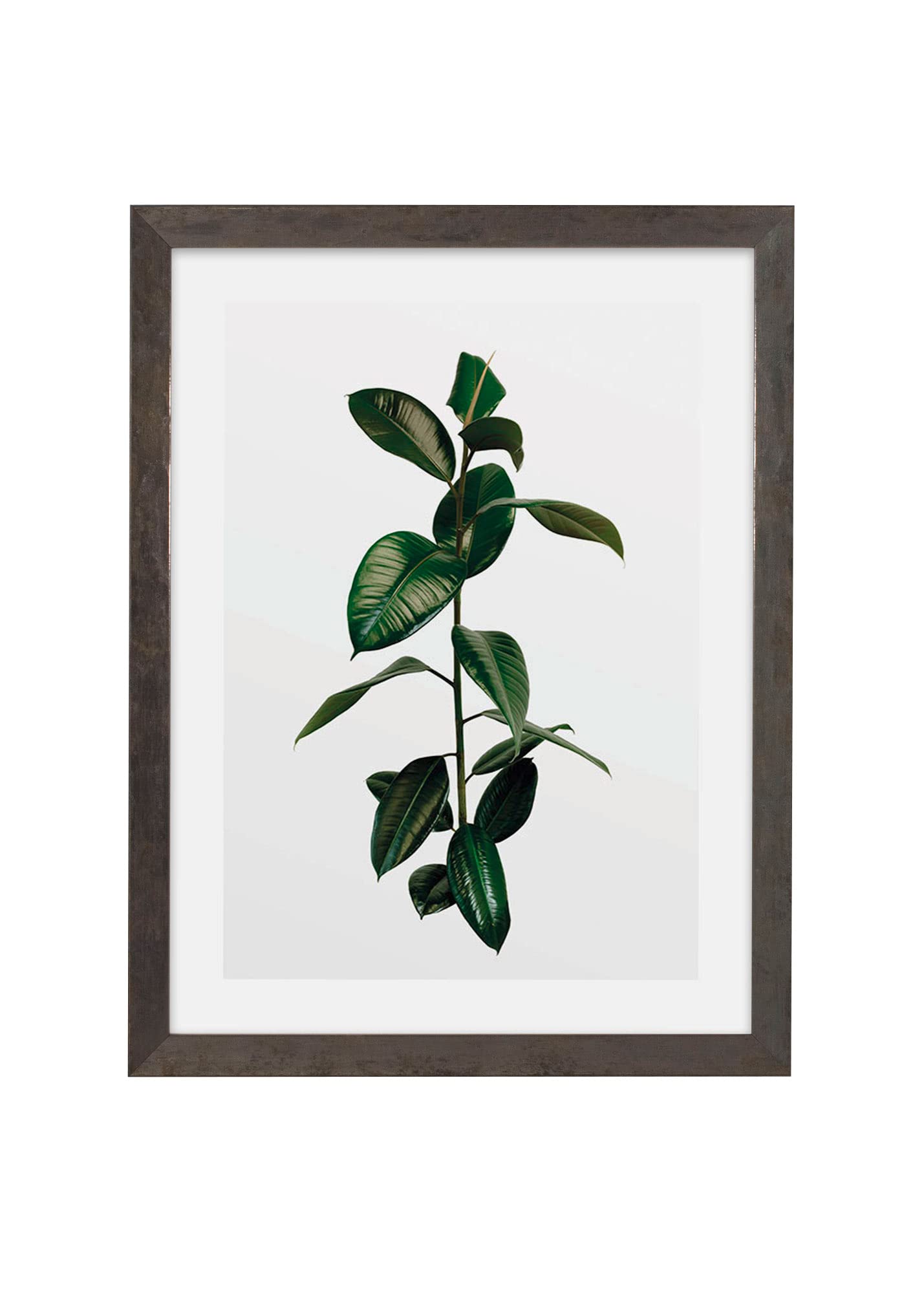 Cadre photo en bois gris Komar avec poster Elastica Leaf 30x40 cm pour une decoration murale naturelle