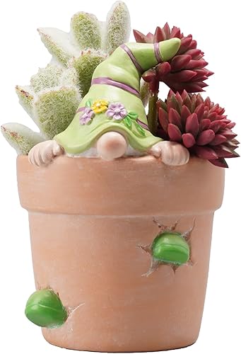Newman House Studio Macetero de primavera gnomos de Pascua decoración de cactus y suculentas macetas de jardín únicas decorativas de Pascua con