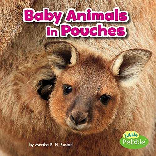Baby Animals in Pouches by Martha E. H. Rustad episode artwork