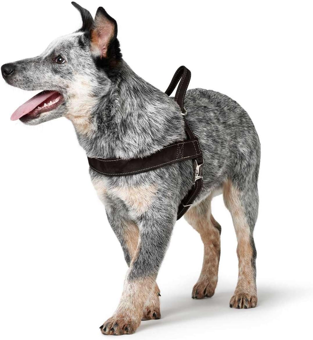HUNTER Norwegian Harness for Dogs Hunting, 50 x 69-93 cm, Black
