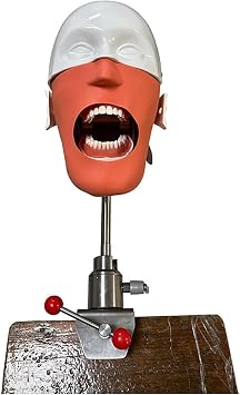 Stomatology Bionic Heads Model Life-Size, Dentals Manikin Phantom Heads Dentals Simulator Unit For Training, Dentals Phantom Heads Model For Teaching Practice