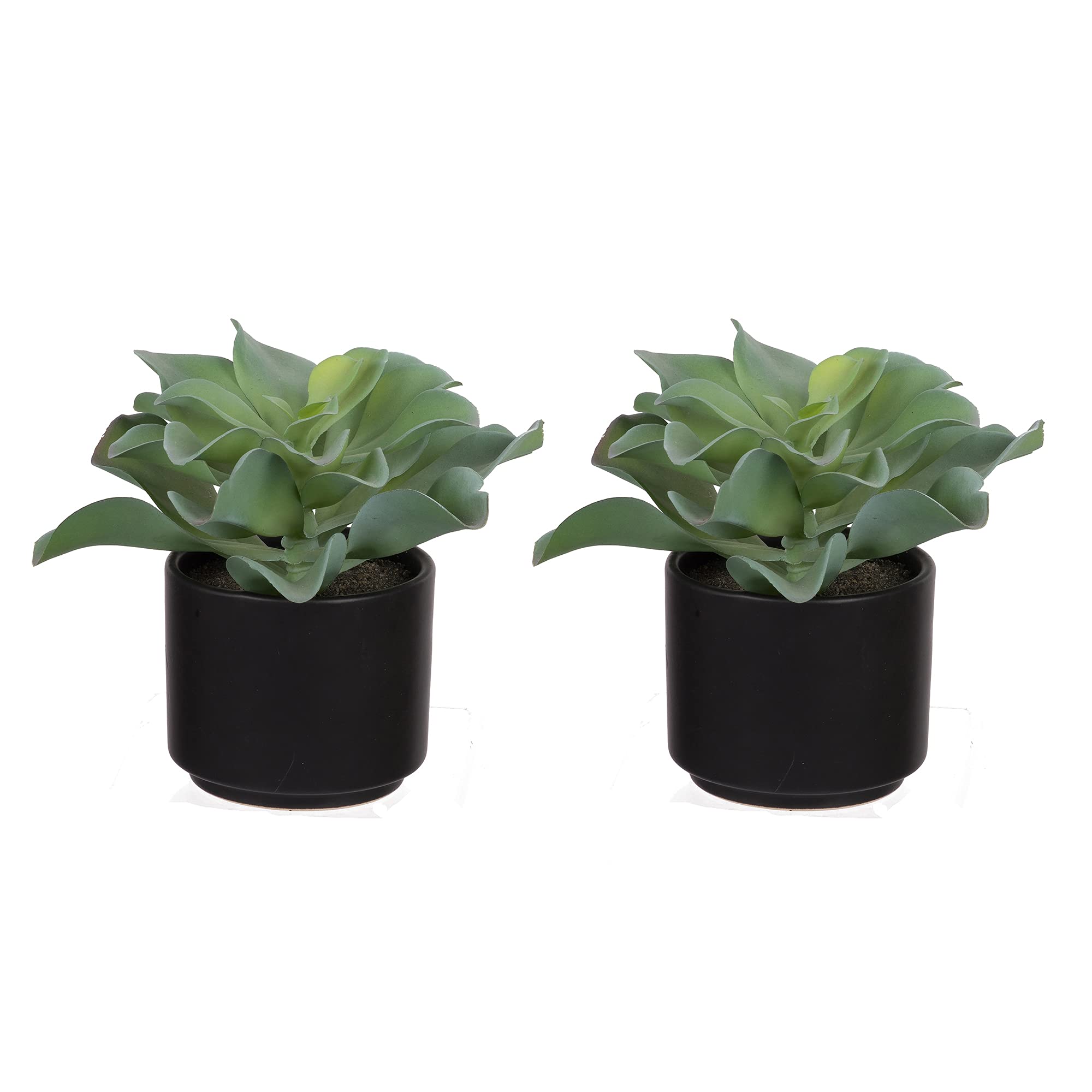 A&B Home Group Set of 2 Potted Faux Succulent 7.5x7.5x6