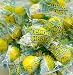 Lemonheads Candy - Individually Wrapped - 1 Pound Bag