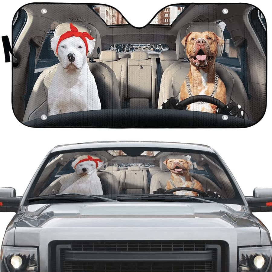Protection pare-soleils intérieur universelle auto SUV camion taille L