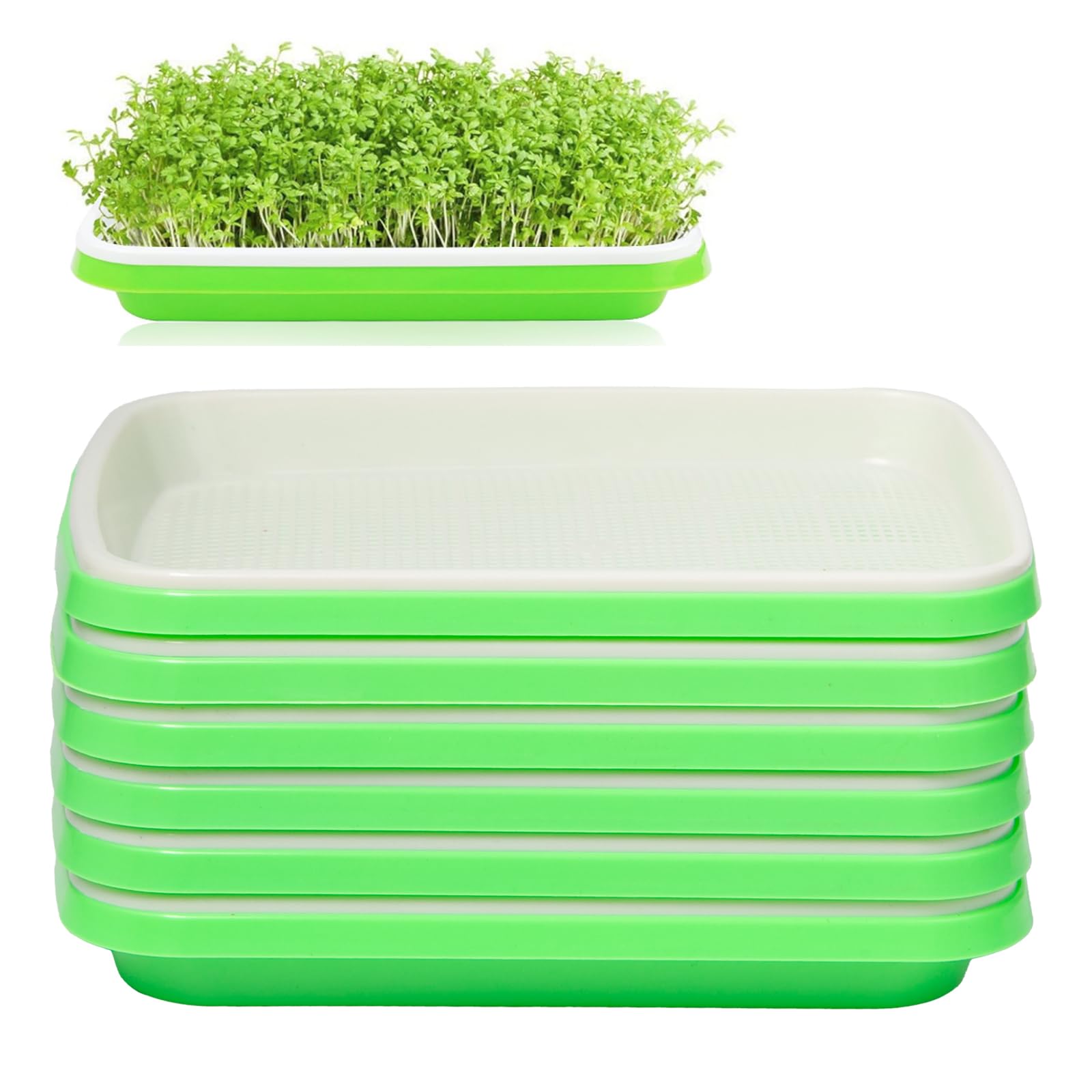 6 Piezas Bandeja de Germinación de Semillas 32.5x24.5x4.5cm Bandejas para Germinar Brotes Germinador Semillas de PláStico para Cultivo de Frijoles Mungo Alfalfa y Hierba de Trigo
