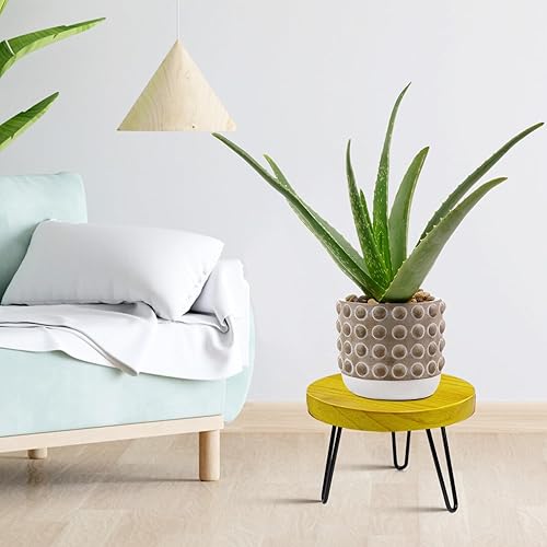 Miniatura 6 de Soporte para Plantas de Interior y Exterior, Taburete de Madera para Plantas, Soporte de Plantas Estilo Moderno de Mediados de Siglo para Plantas de