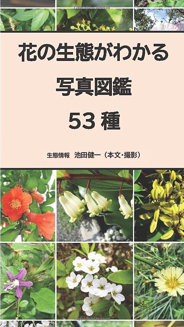 作例、文献付 生花格花花材事典 生花 初版本 作例、文献付 生花格花花材事典 生花 初版本 現代いけばな花材事典