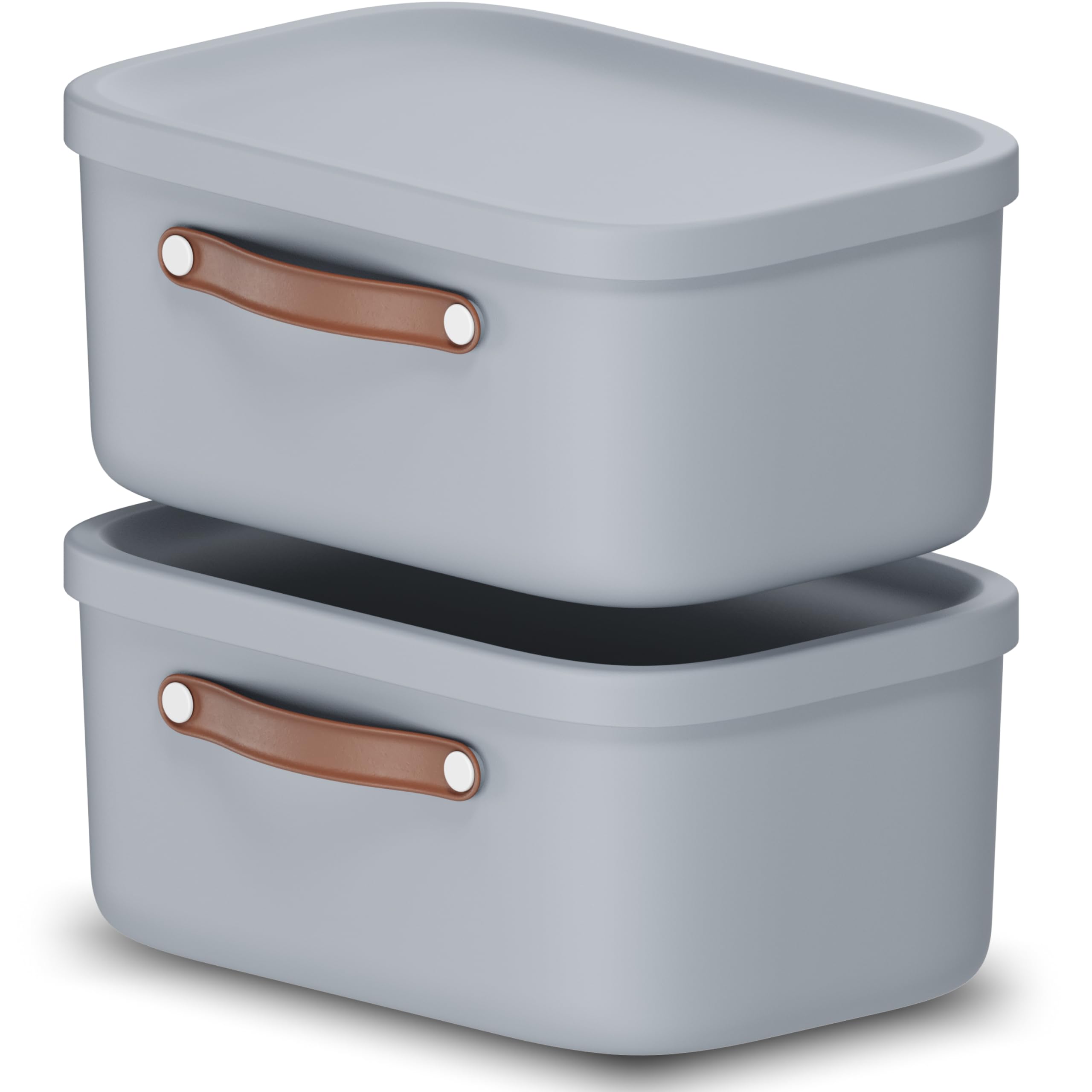 Rotho Maloja Storage Box