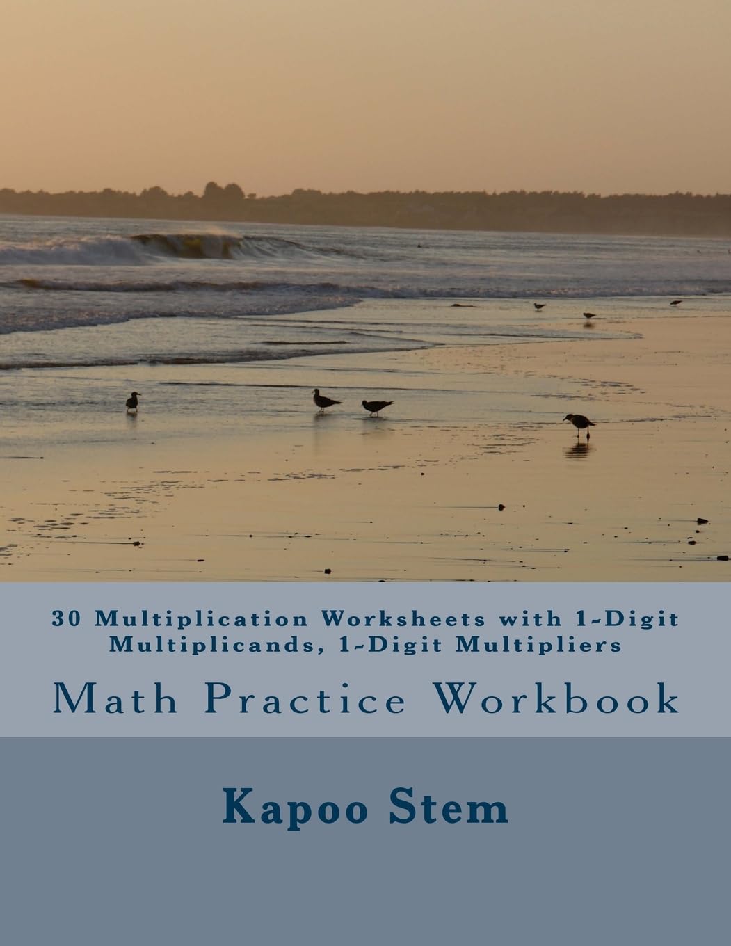 30 Multiplication Worksheets with 1-Digit Multiplicands, 1-Digit Multipliers: Math Practice Workbook (30 Days Math Multiplication Series)