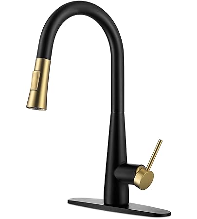 Black Kitchen Faucet