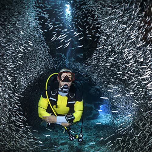 Image of Adult Pano 3 Scuba Diving Mask, Tempered Glass Snorkel Mask Anti-Fog Swim Mask No Leakage Swim Goggles with Nose Cover Snorkeling Gear for Snorkeling, Freediving, Swimming