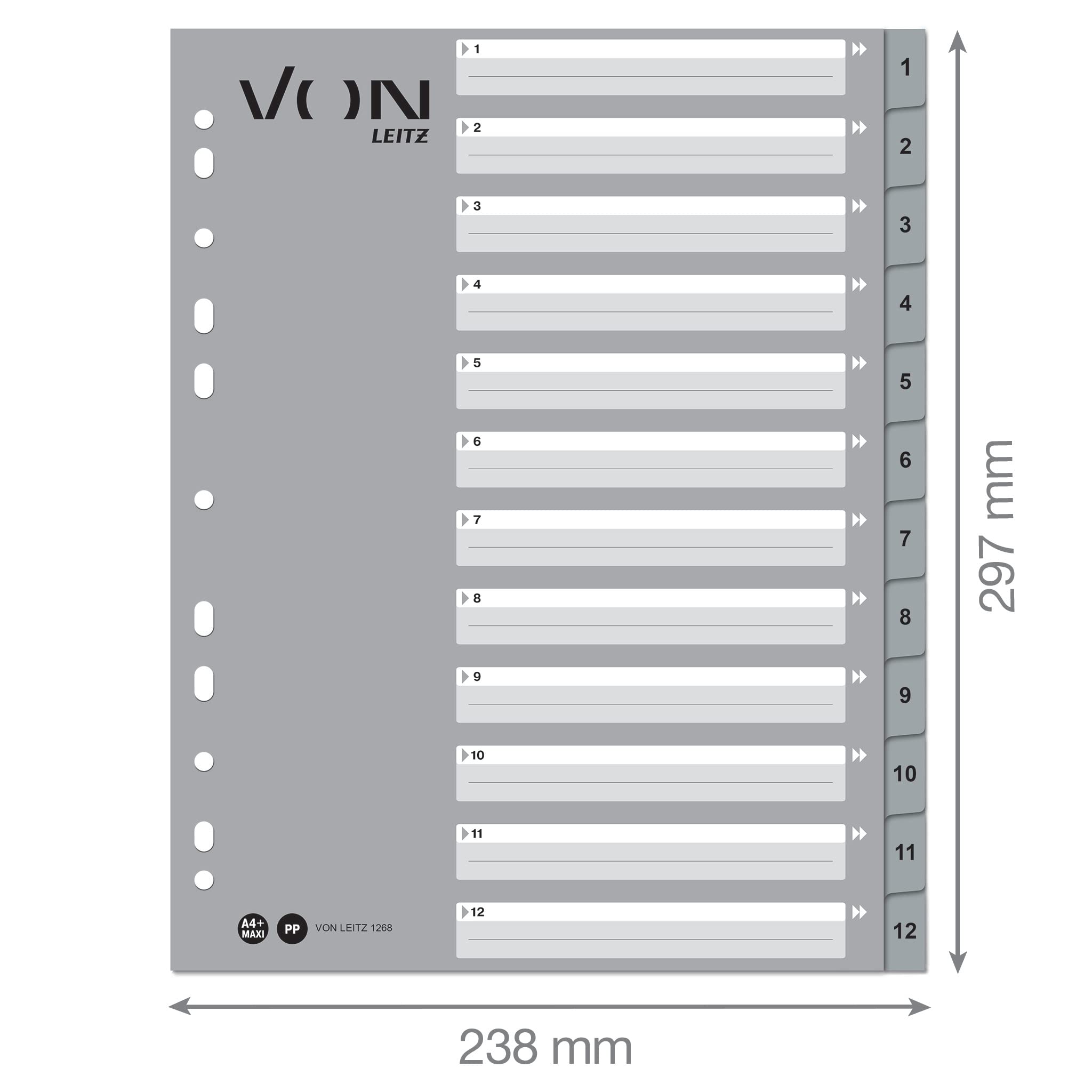 Divisori Leitz Per Raccoglitore A4 - 5 Register Colorati/trasparenti, Scrivibili Su PC, Foratura Universale