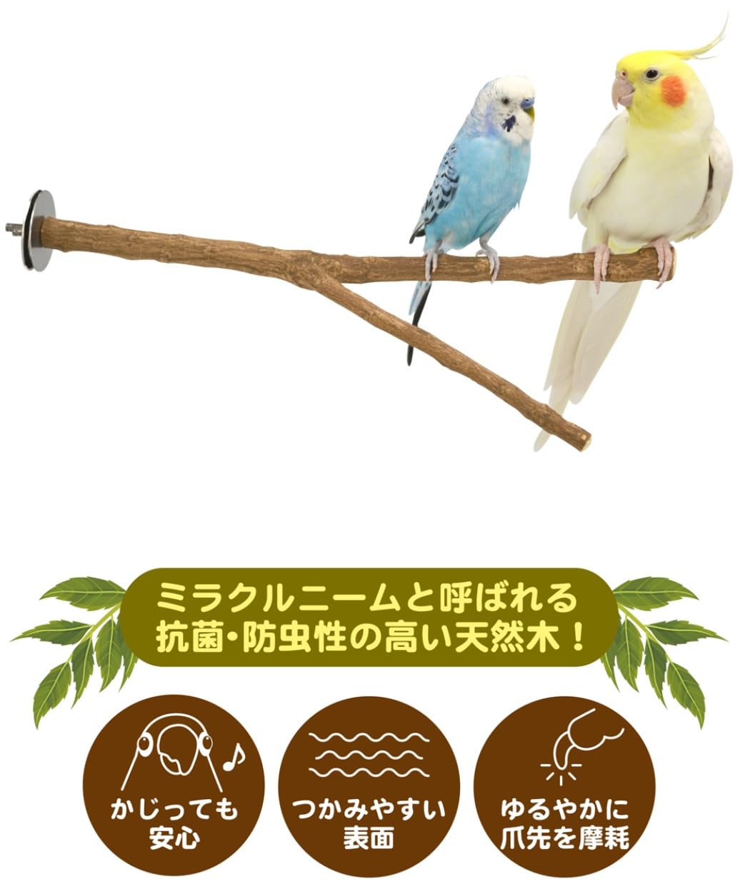 Amazon | 【小鳥用パーチ 抗菌・防虫性の高い天然木】 ニームの