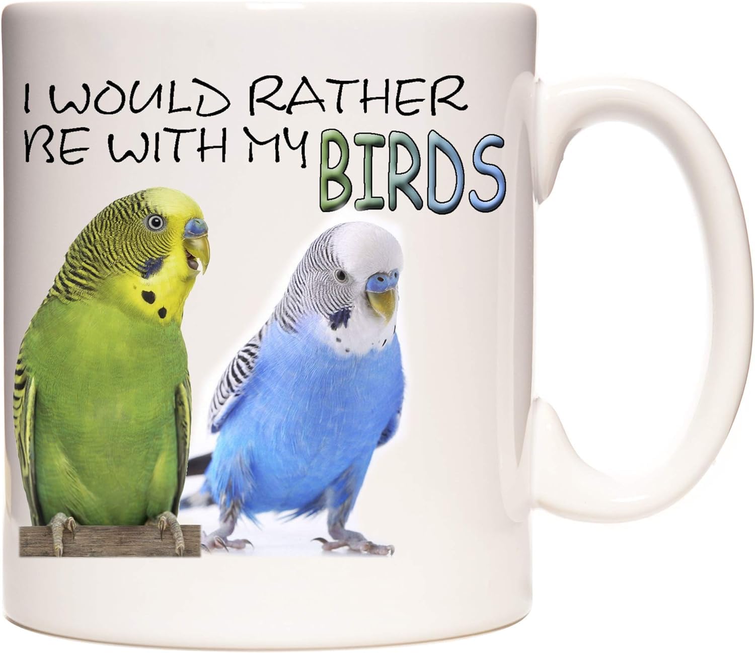 Budgerigar Mug, I Would Rather Be with My Birds. Lovely Ceramic Gift Mug Featuring Cute Budgies