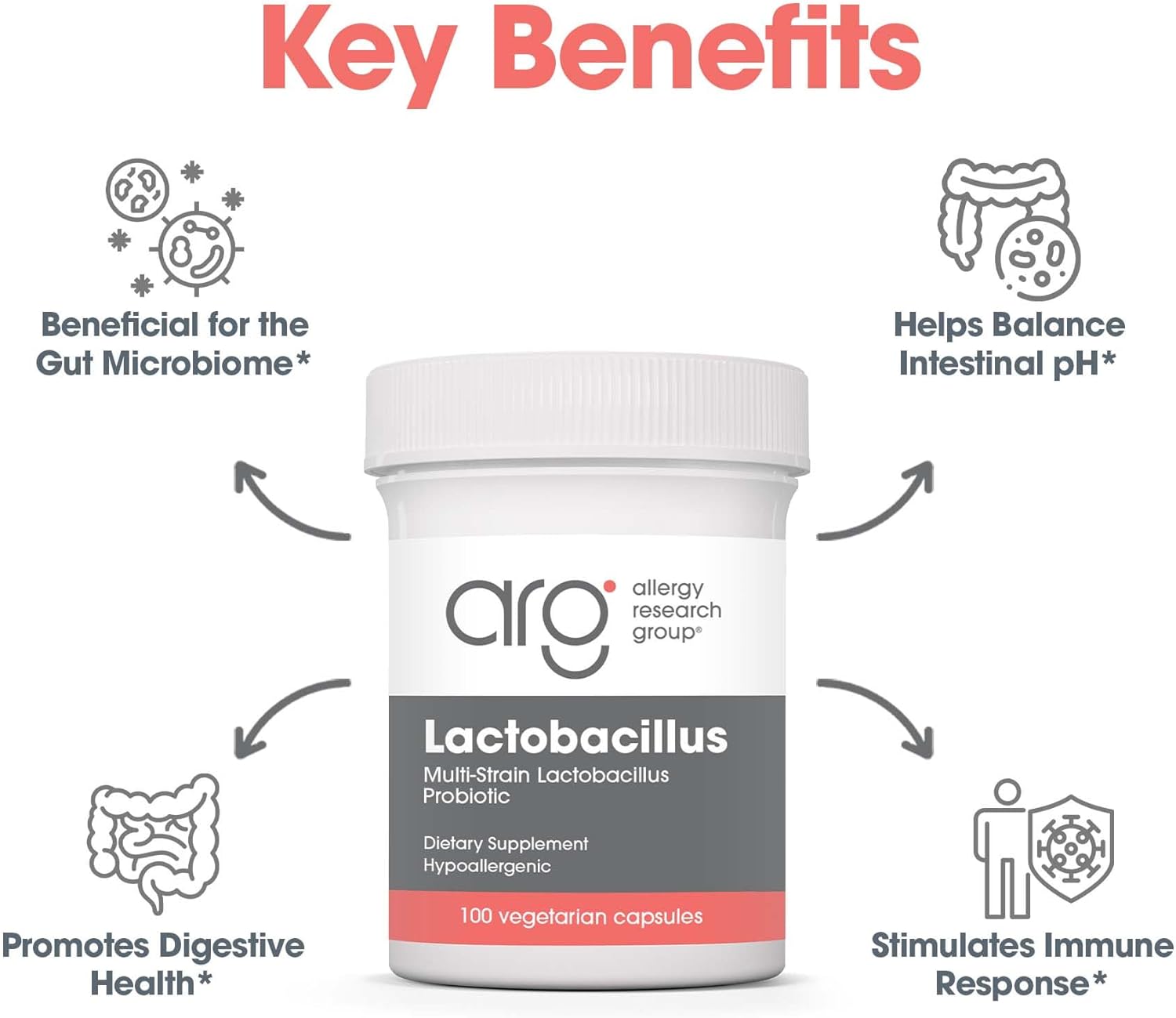 Allergy Research Group Lactobacillus Supplement - Probiotics for Men & Women, Digestive Health, Gut Health, Vegetarian Capsules - 100 Count