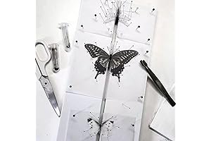 Professional Entomology Tool - Adjustable Insect Pinning Board for Bug Specimen Collection