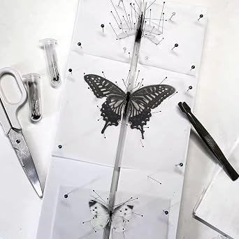 Insect Pinning Board, EVA Foam Board Pose Insects Boards Butterfly Spreading Wings Board Combined Plates, Adjustable Wide Spacing Double Sided Usable Insect Specimen Tools for Bugs Collection 1 PACK
