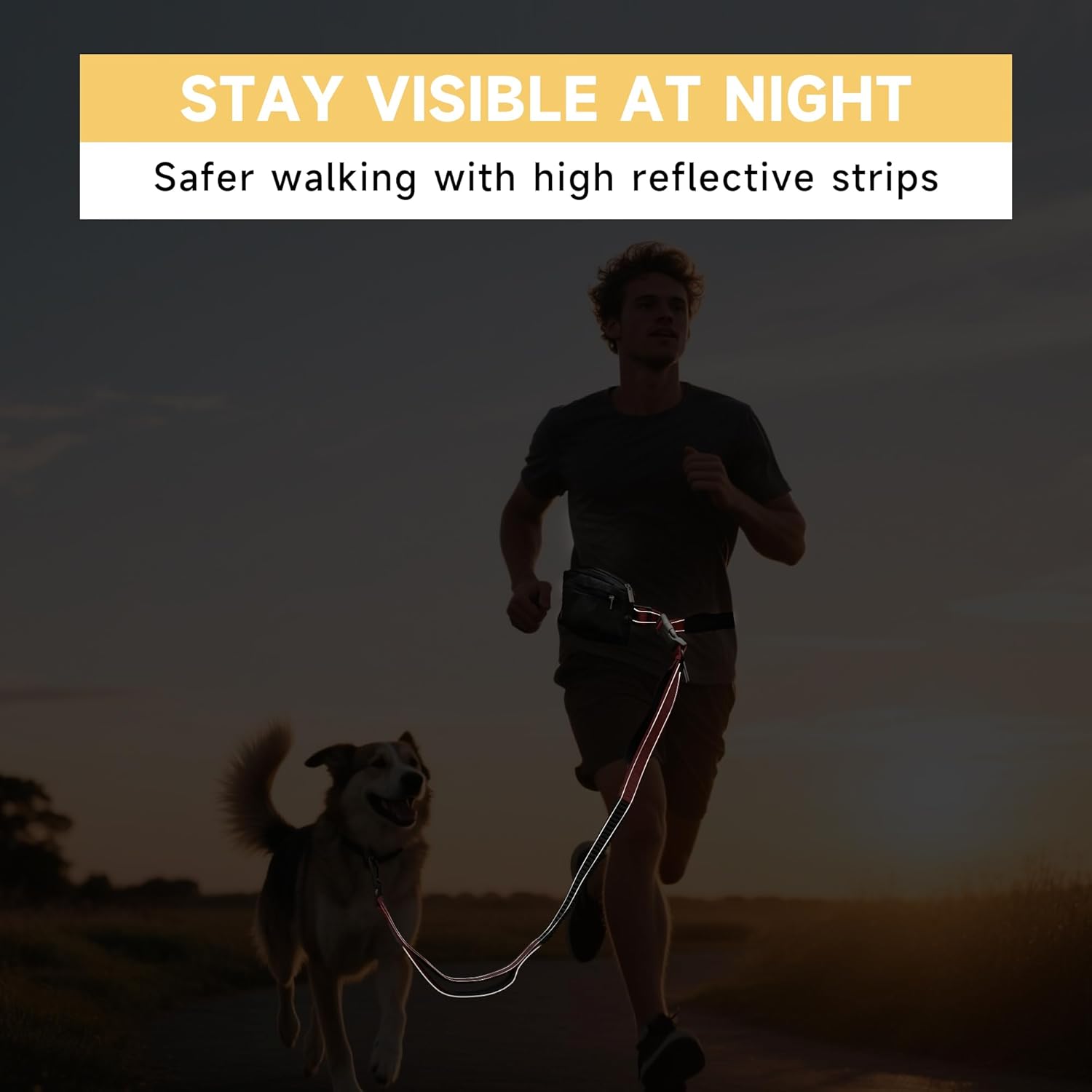 ハンズフリー 犬用リード ジッパーポーチ付き ダブルハンドル ランニング 反射 バンジーウエストリード 犬の散歩、トレーニング、ハイ