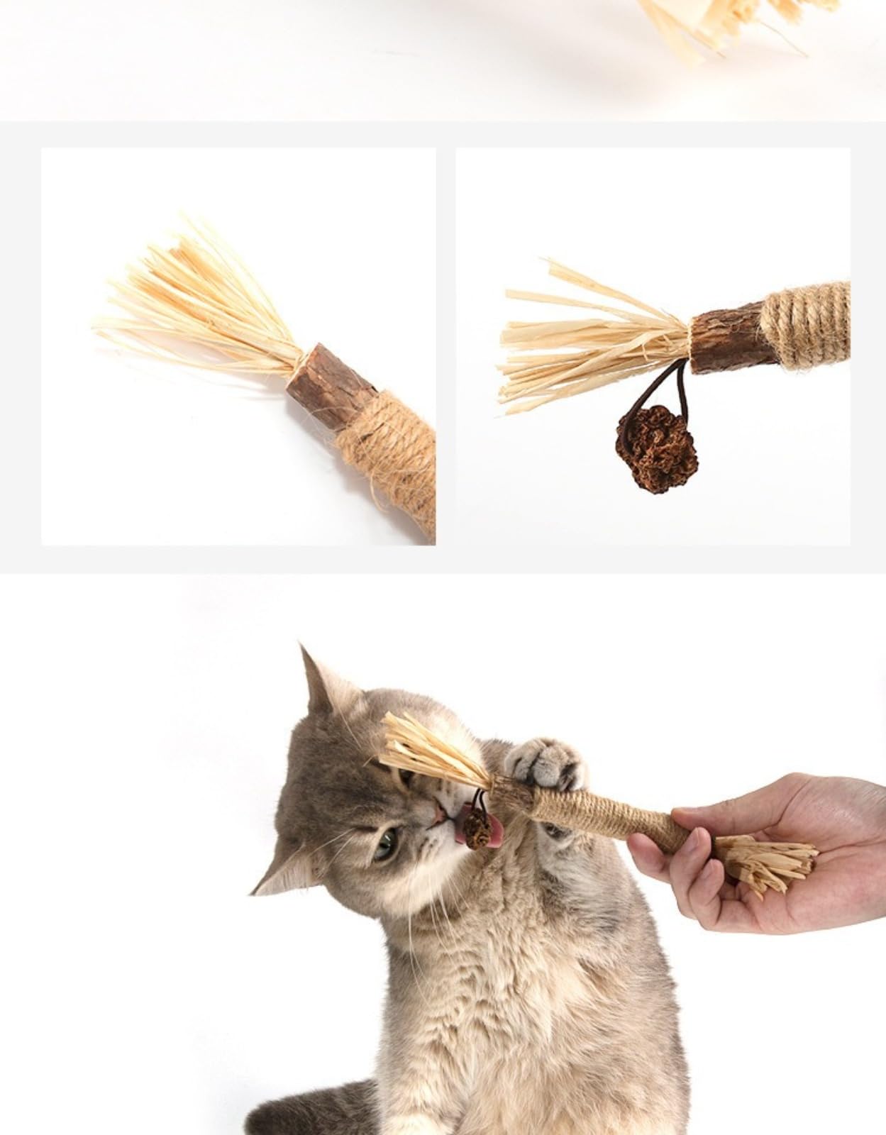 Bâtonnets Naturels pour Chats – Jouet Dentaire à Mâcher, Nettoyage des Dents & Haleine Fraîche – Anti-Stress & Anti-Ennui, Lot de 5/10/20,Bâtonnets à mâcher pour Chats, Jouets à mâcher pour Chats