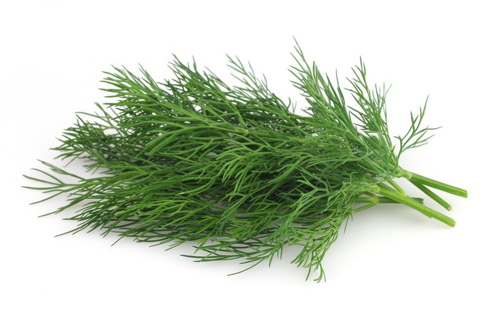 Fresh Dill Leaves, 250 grams Bunch