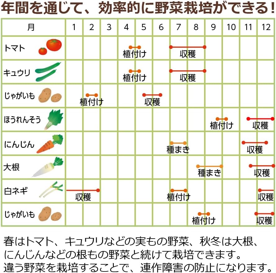 リッチェル Richell Vegetable Garden Skillful 50 Deep DB Planter Perfect for Making Vegetables on The Porch