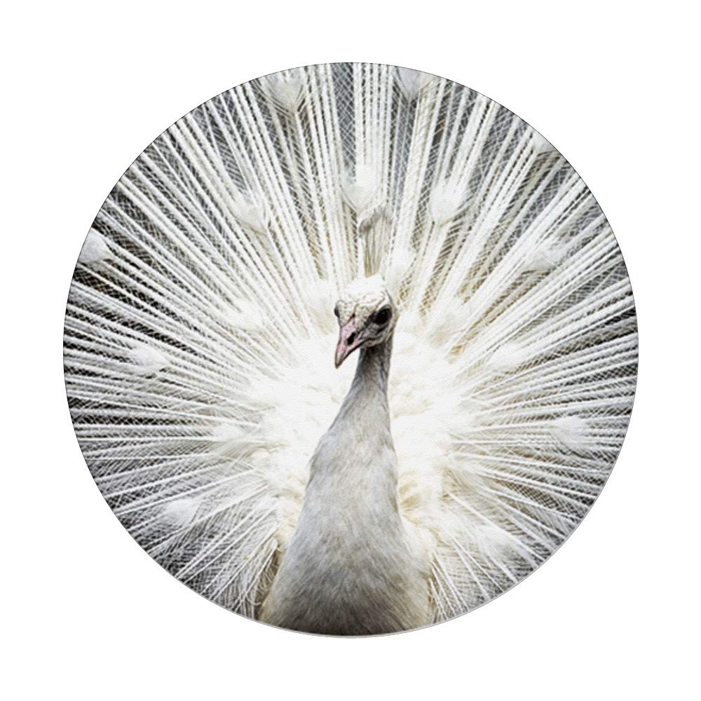 ★QUMAPON ROUGE+QUMAPON PEACOCK b1ee89582429173839c6107a026431
