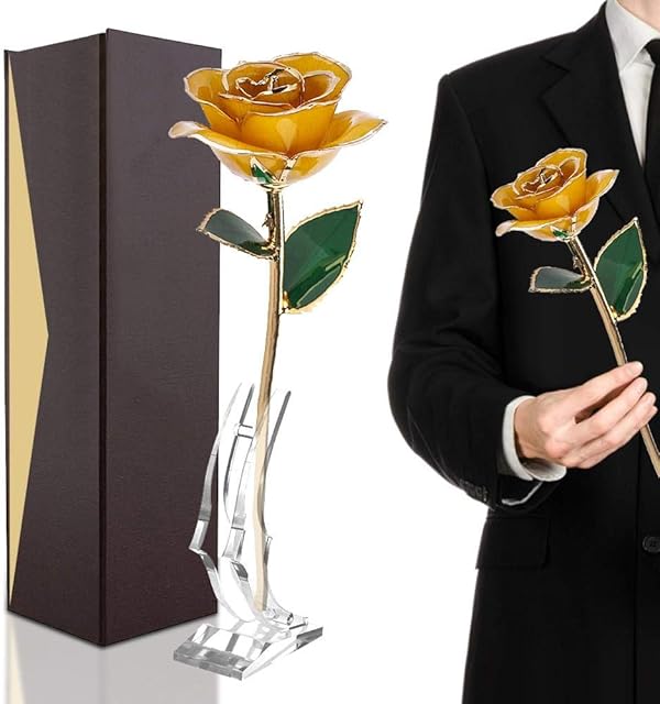 24K Gold Rose with Clear Display Stand, Long Stem Dipped Flower Gift for Her Made of Fresh Rose, Last Forever Mother's/Thanksgiving/Christmas/Valentine's/Birthdays Party/Graduations/Weddings (Yellow)