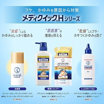 ロート製薬　メンソレータムメディクイックHメディカルシャンプー メディクイックH 頭皮のメディカルシャンプー しっとり | ロート