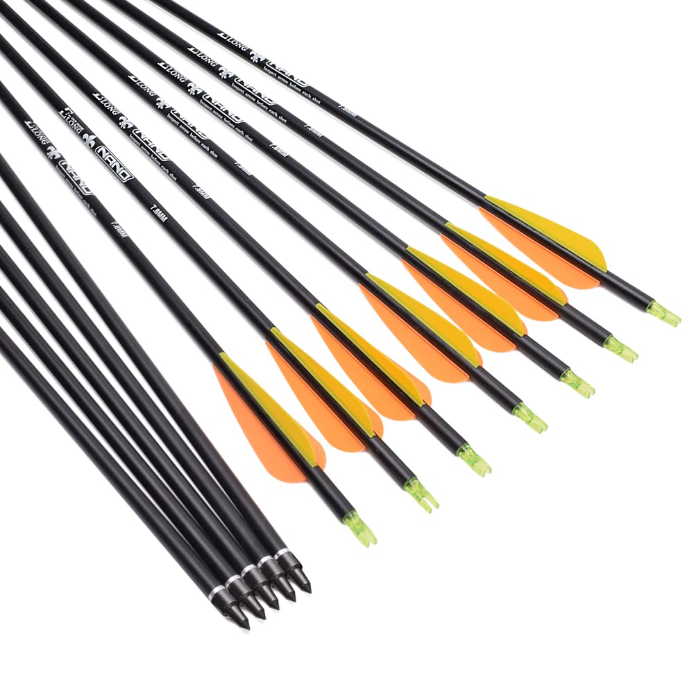 Flèches de Chasse en Carbone avec Pointes Amovibles de 100 Grains pour tir à l'arc composé et Classique et tir à l'arc Traditionnel (Lot de 6/12)