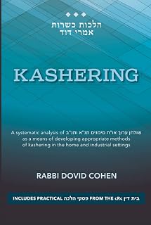 Kashrus Halacha - Kashering: A systematic analysis of Shulchan Aruch OC 451-452 as a means of developing appropriate methods of kashering in the home and industrial settings