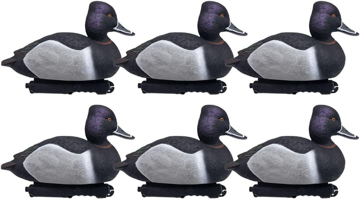 Final Approach Live Foam Filled Ringnecks, Decoy 6 Pack