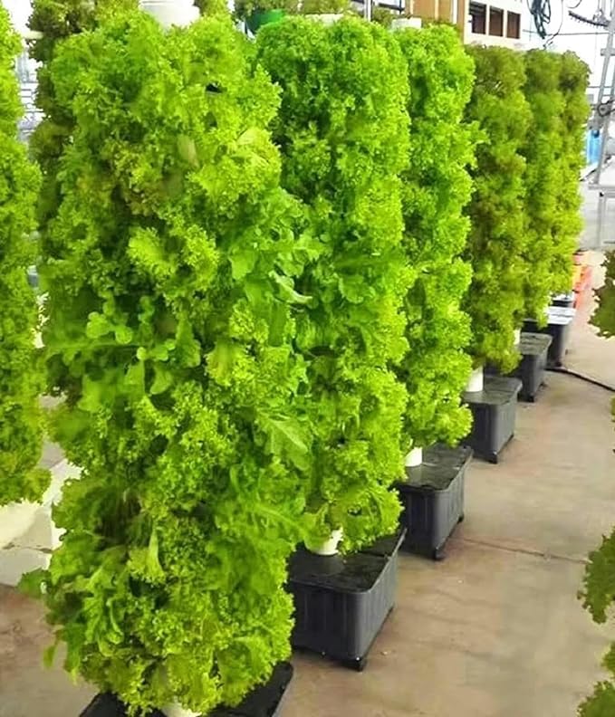 Kit de Cultivo aeropónico sin Suelo de 15 Niveles y 45 Orificios para Cultivo en Interiores con Temporizador y Bomba de Agua para Hierbas y Verduras