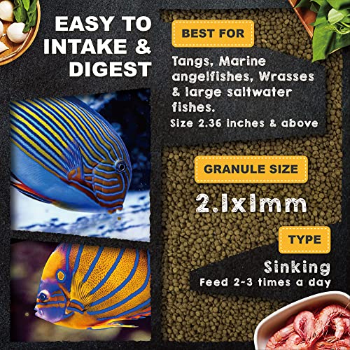 Ultra Fresh Marine Fish Food, 75% Sword Prawns + Squids, Natural Protein, Color Enhancement, For Large Saltwater Fish, Marine Shrimp Patties L 2.12Oz #TOP3