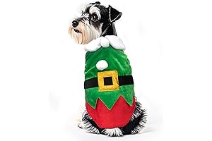 Christmas Elf Dog Costume: Perfect Winter Apparel for Your St. Bernard