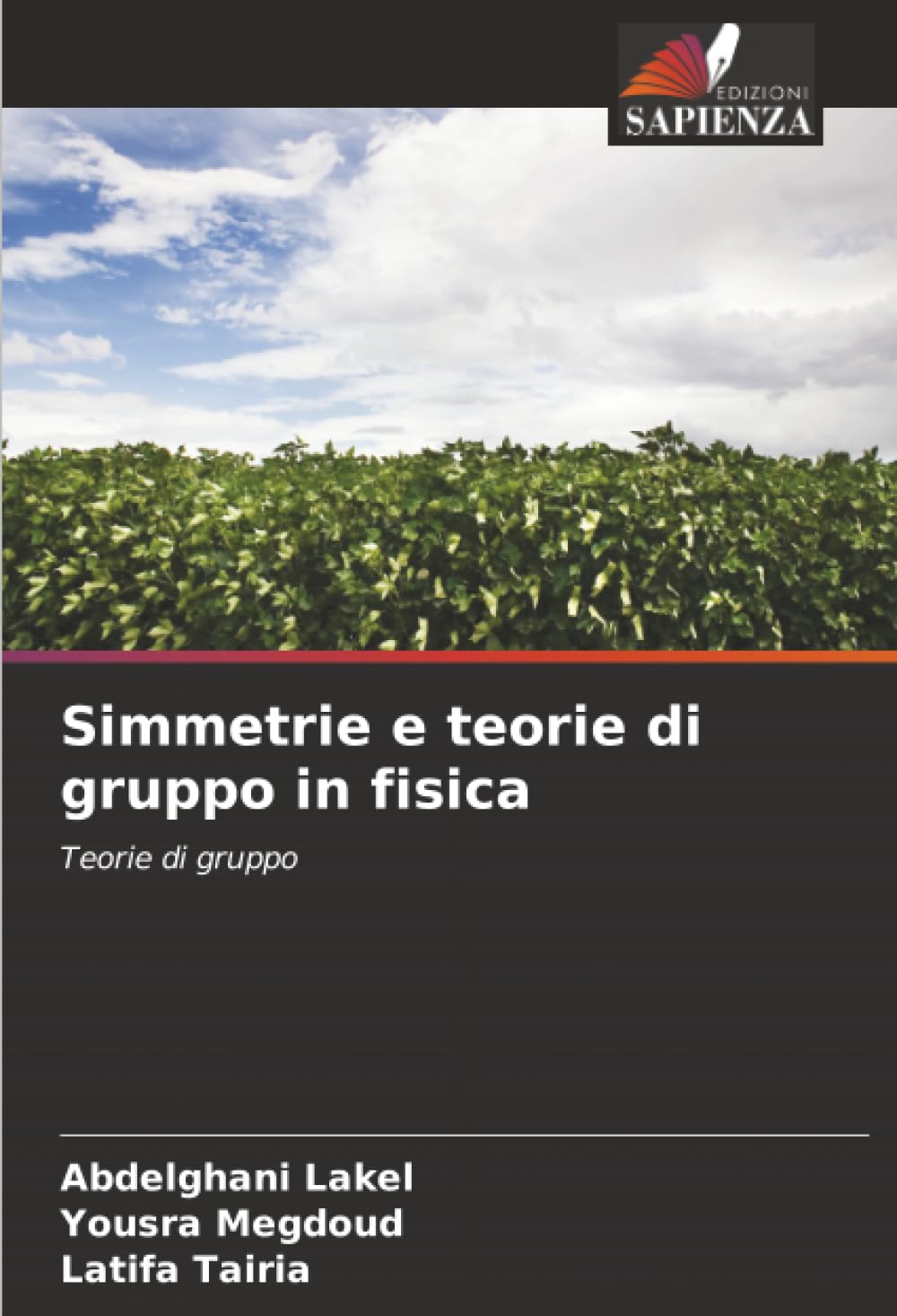 Simmetrie e teorie di gruppo in fisica: Teorie di gruppo