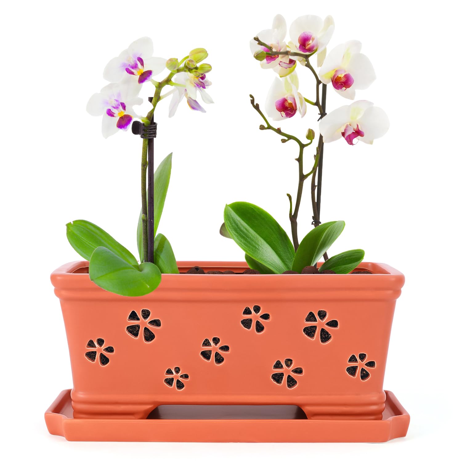 Lovely Ran Ceramic Orchid Pot 10 Inch with Holes and Saucer Orchid Planter for Repotting Flower Plant Pot with Drainage and Saucer Ceramic Red Ceramic Plant Pot for Plants Indoor Outdoor