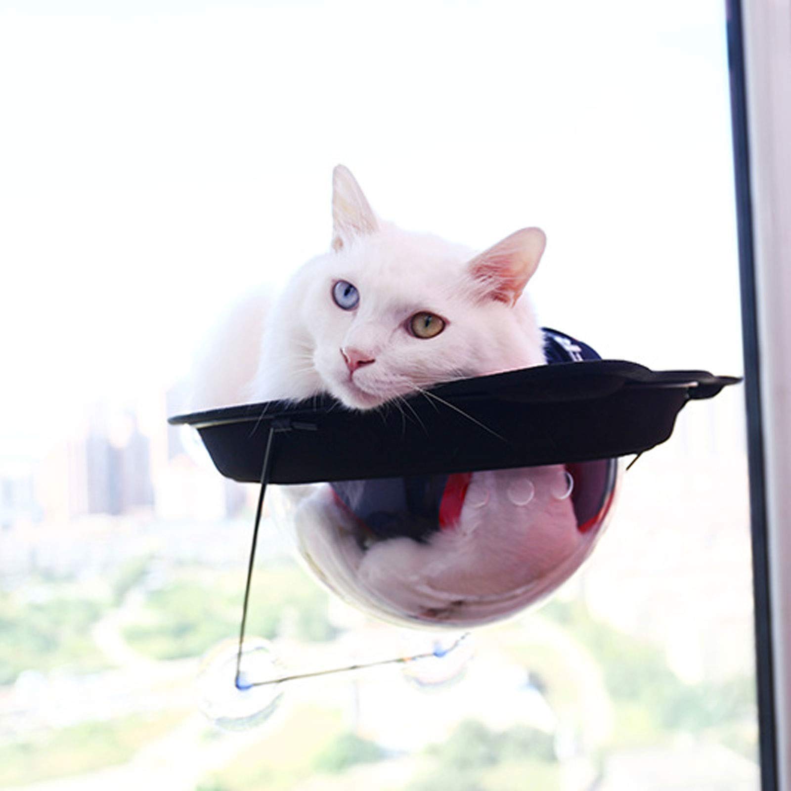 Cama para Mascotas Perca de la Ventana del Gato, Hamaca de la Ventana del Gato, Kitties Cama soleada para Arriba, Marco de Metal Estable Cara de Gato Hamaca Cama Mascota Waterloo