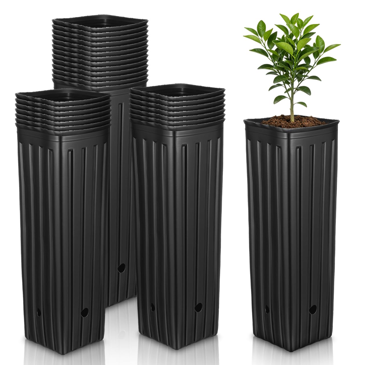 Pots de semis pour pépinières profondes Yardwe, parfaits pour créer votre verger à la maison