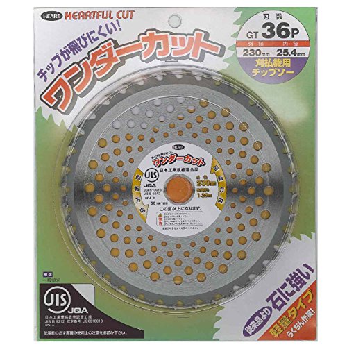 @p`bv\[ _[Jbg230×36P