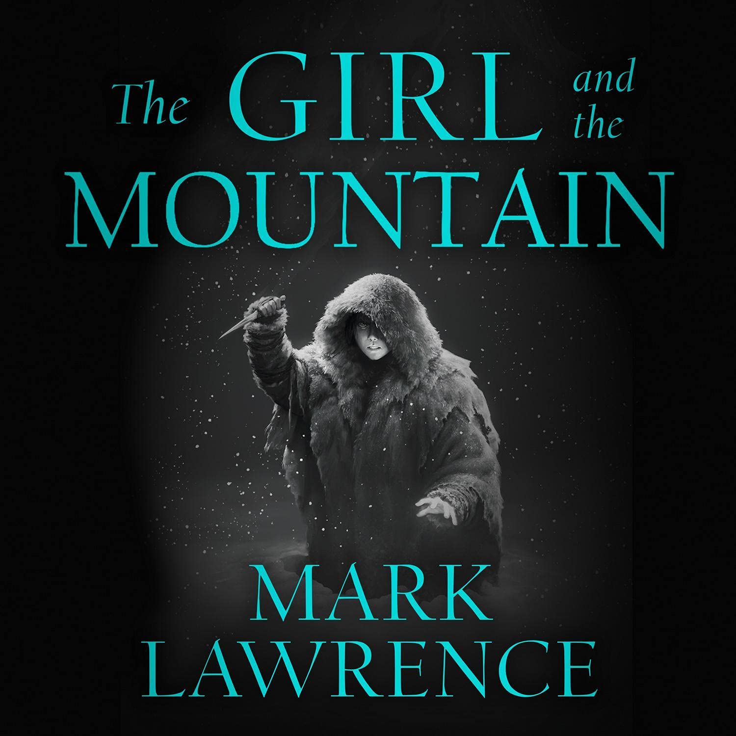 Cover art for The Girl and the Mountain