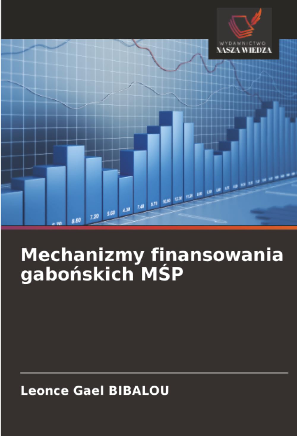Mechanizmy finansowania gabo¿skich M¿P