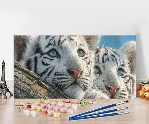 yCgoCio[  io[yCg  lp SҌ h hG Paint By Numbers nhChNtgA[g DIY G Zbg ܂ CeA AN ʊG̋ Ƃ̕ǂ̑ ւ̑蕨 t[Ȃ